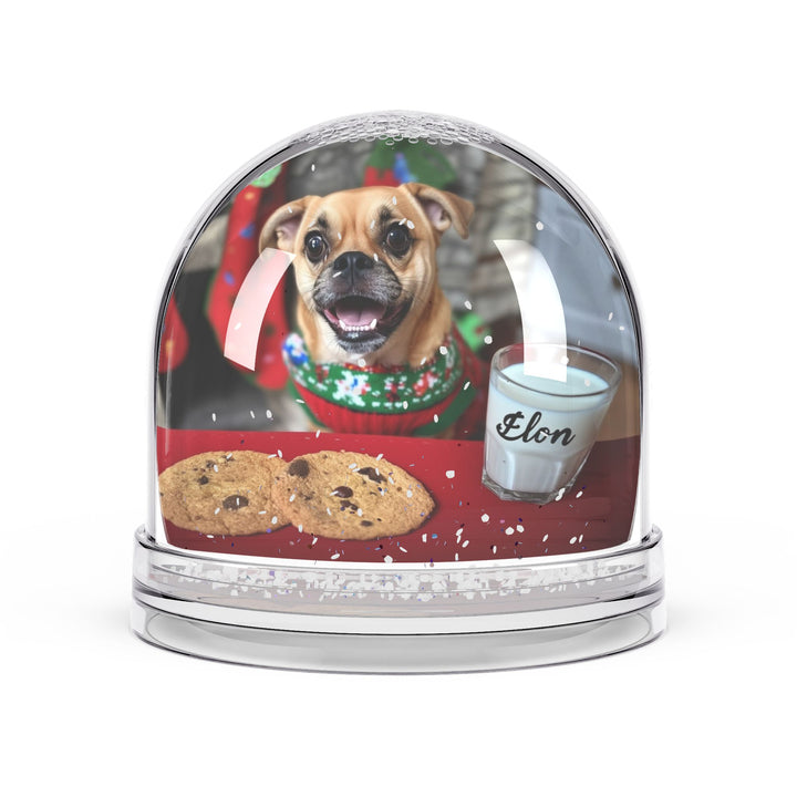 Snow Globe