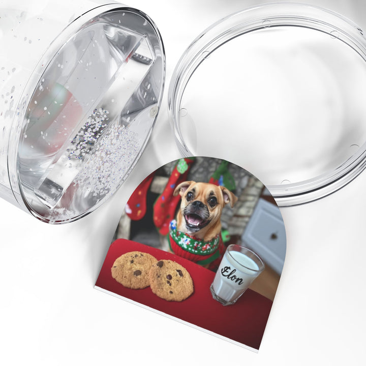 Snow Globe