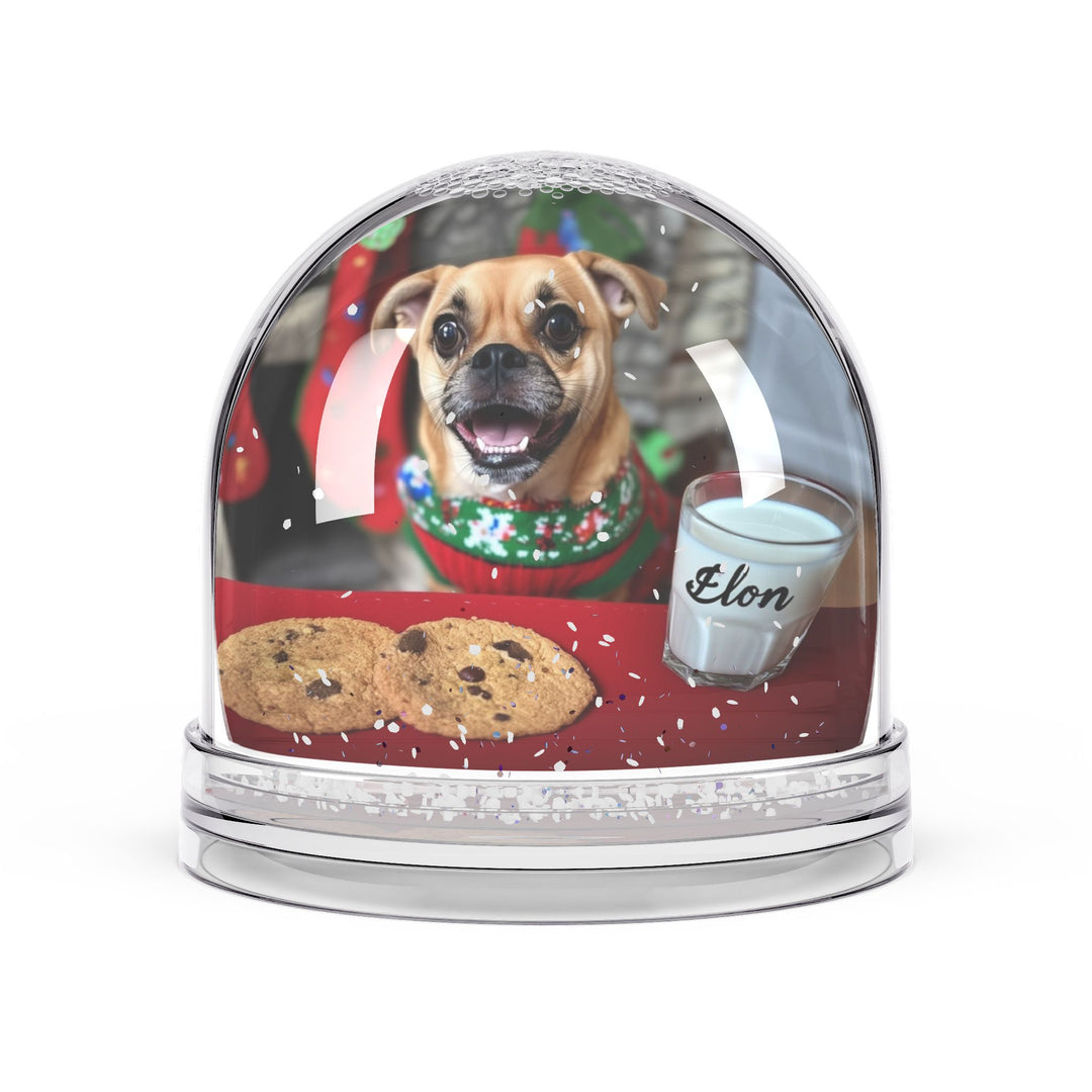 Snow Globe