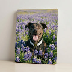 Mockup canvas #view-dog