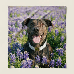 Mockup blanket #view-dog