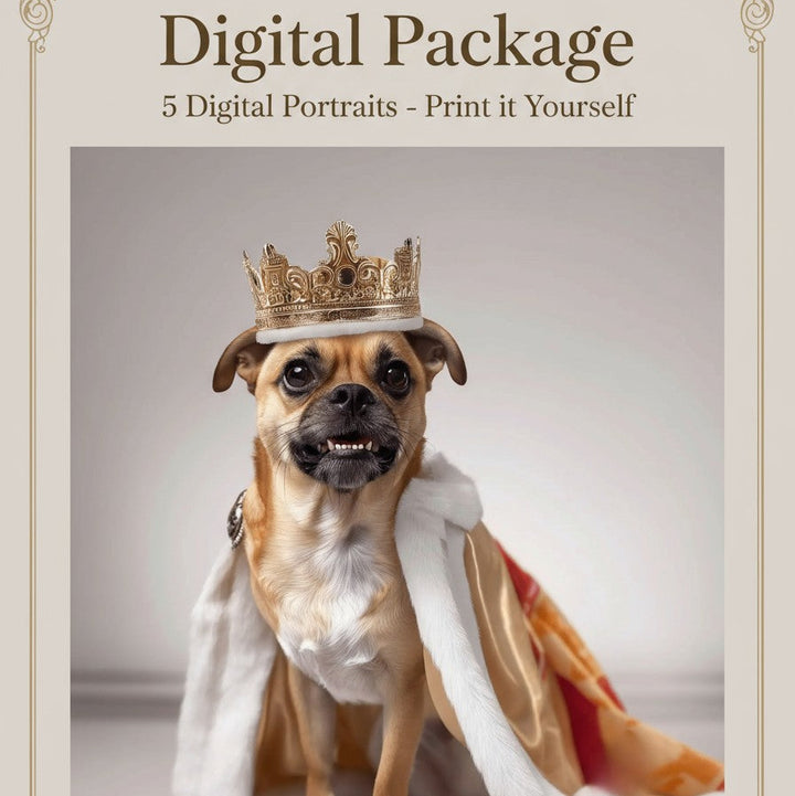 Digital Package