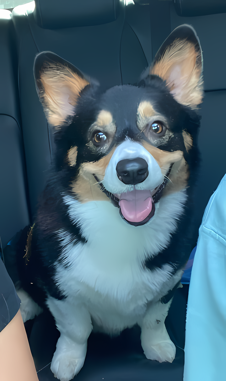 Fully Custom Pet Portrait | Canvas Print