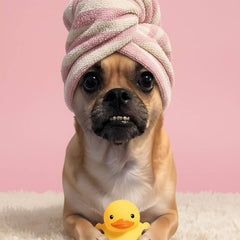 Spa Day pet portrait - relaxing dog 3 #view-dog