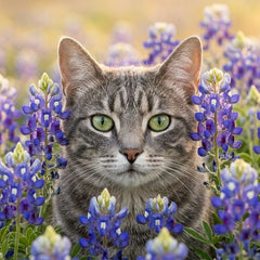Bluebonnet pet portrait - grey tabby cat close-up in bluebonnets 5 #view-cat